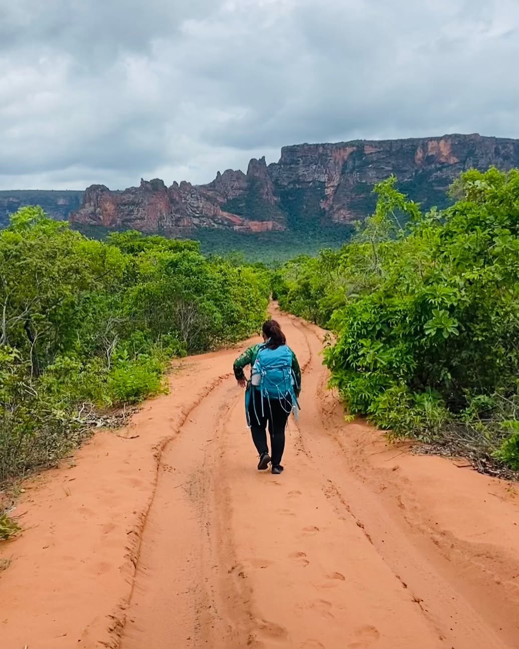TRILHA VALE DO RIO CLARO -CRISTA DO GALO - Imagem 5