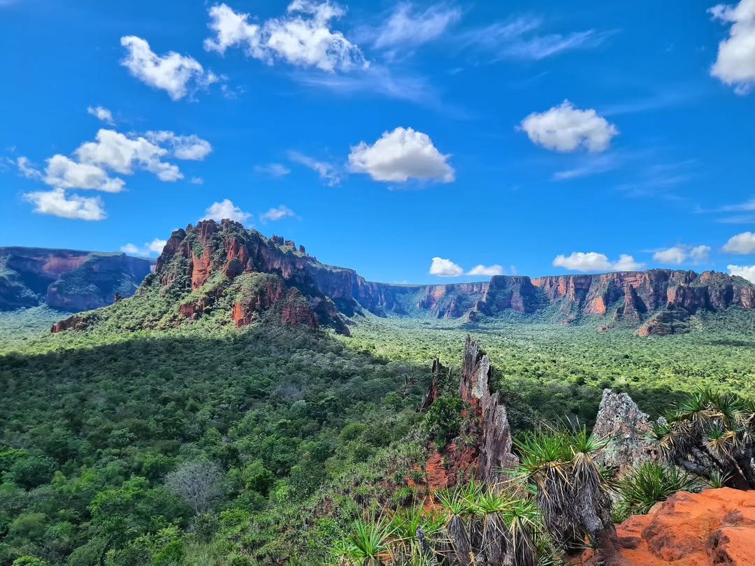 TRILHA VALE DO RIO CLARO -CRISTA DO GALO - Imagem 3